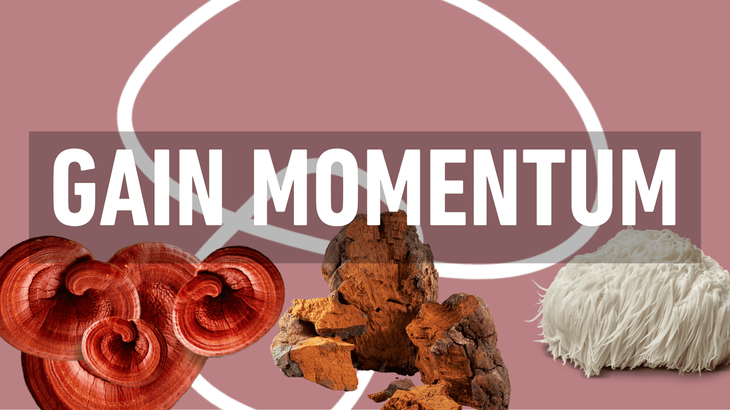 IMPORTANT: Gaining Momentum and Mushroom Extracts in Traditional Chinese Medicine