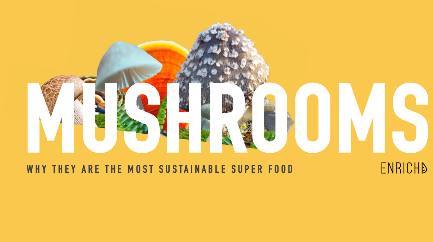 Fresh sustainable mushrooms with low environmental impact, grown using eco-friendly farming practices.