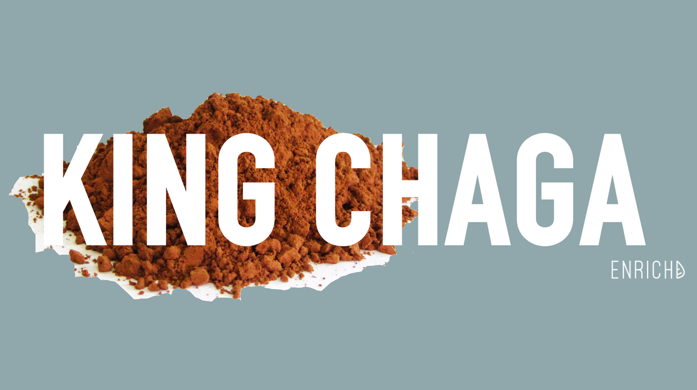 Chaga mushroom powder rich in antioxidants and immune-boosting properties