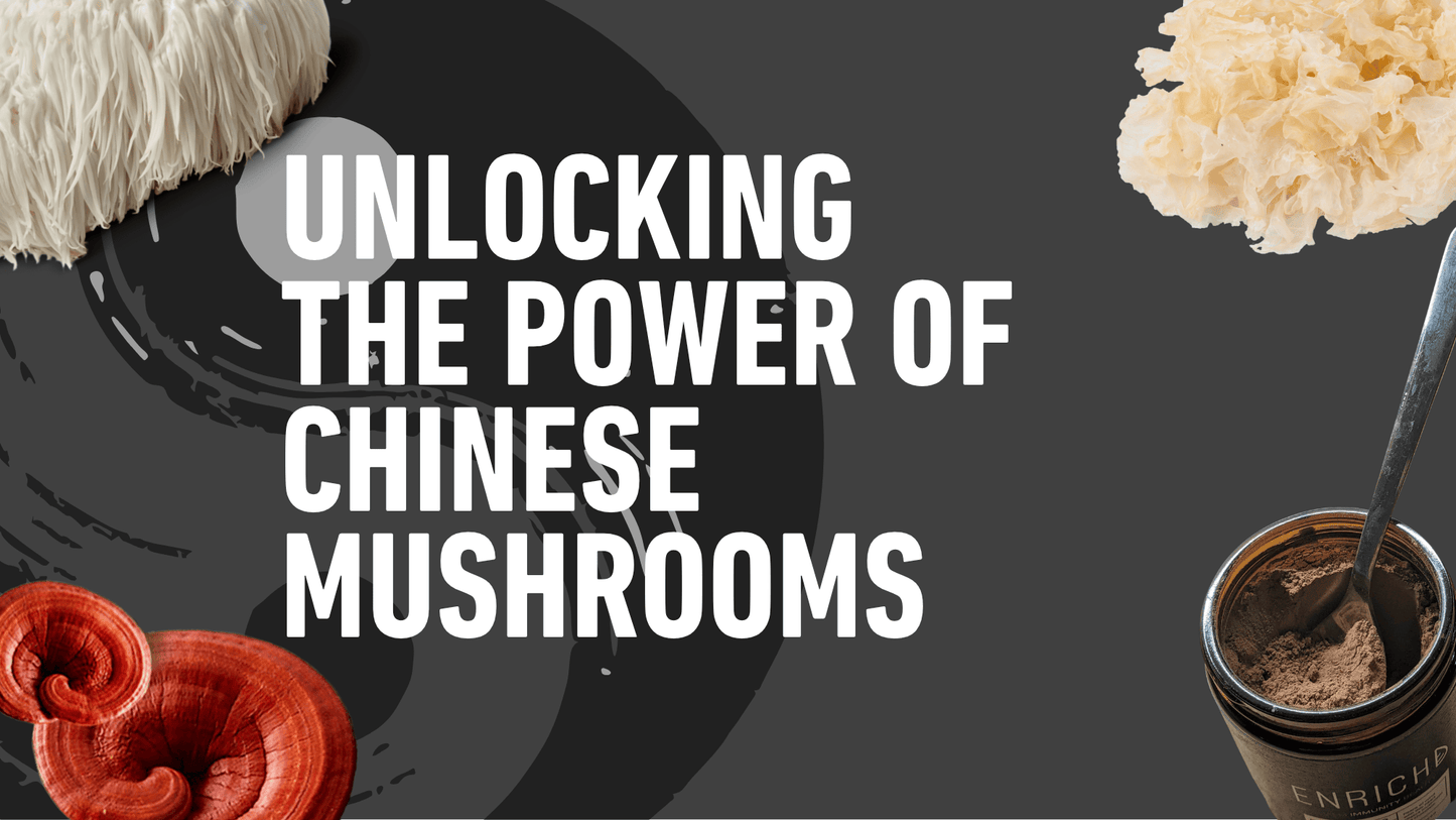 Unlocking the Power of Chinese Mushrooms: Potent Extracts from the Mountains to Your Mug