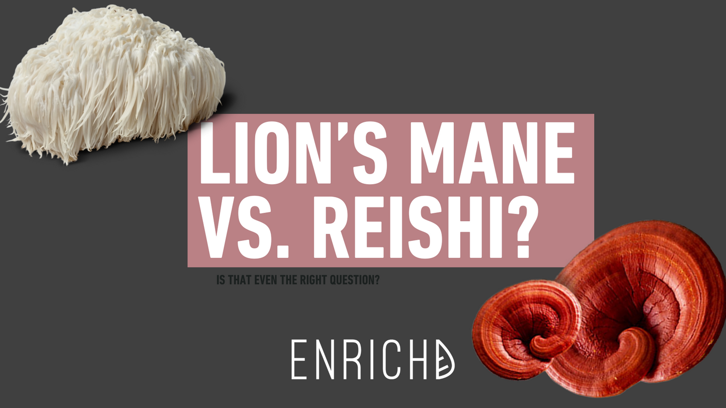 🧠 Lion’s Mane vs. Reishi: Which ENRICHD Mushroom Extract Is Right for You?