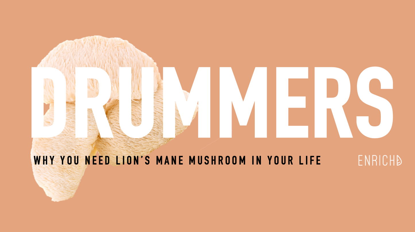 Close-up of Lion’s Mane mushroom, a natural remedy for brain and nerve health