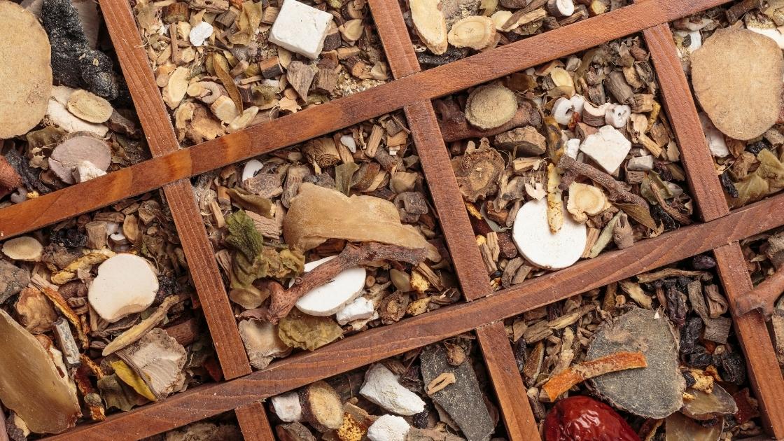 medicinal mushrooms, mushroom supplement, wellness, mushroom benefits, lion's mane, chaga, reishi, turkey tail, cordyceps