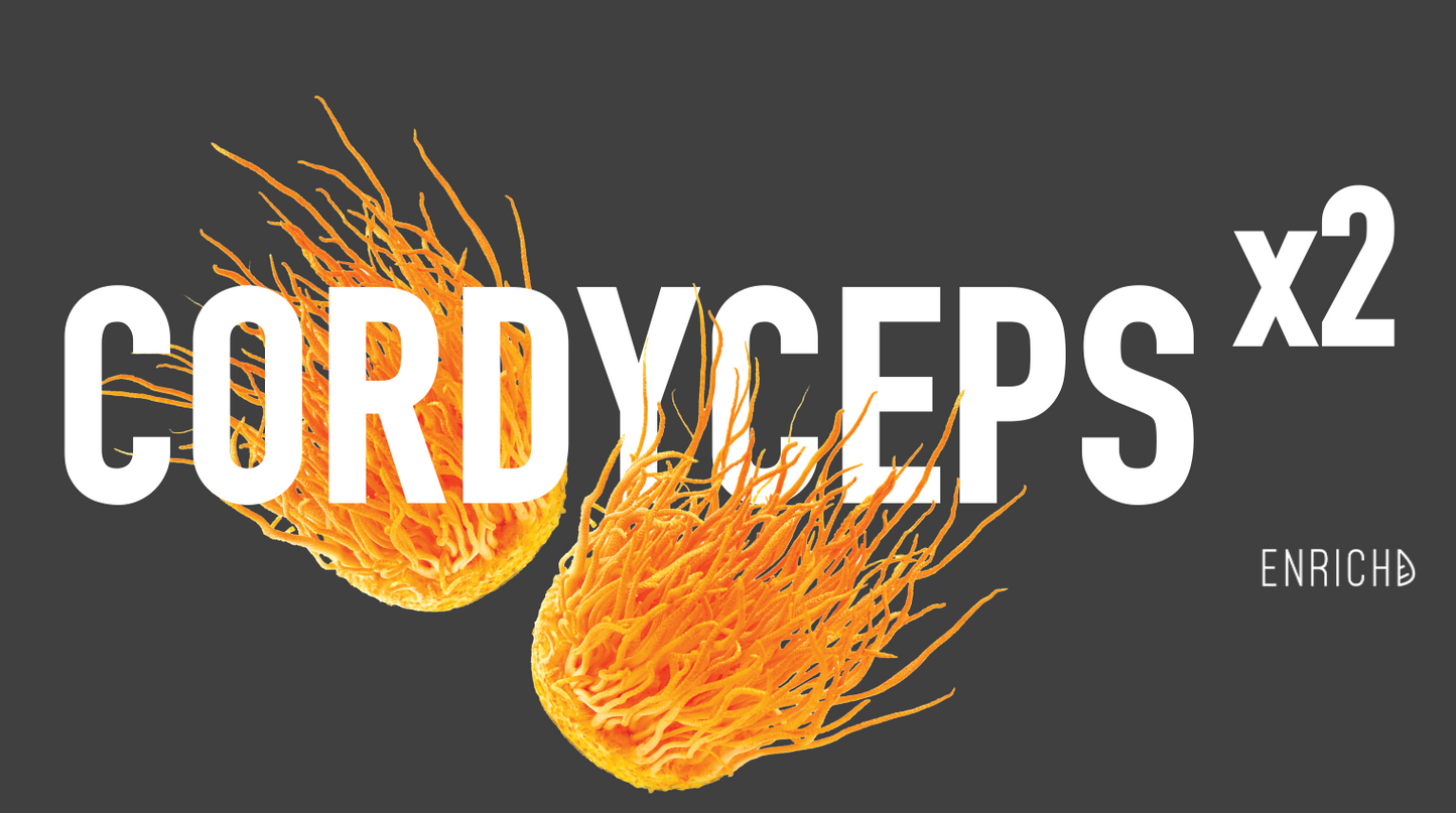 Cordyceps CS-4 vs. Militaris: Scientific deep dive on strains and combination benefits