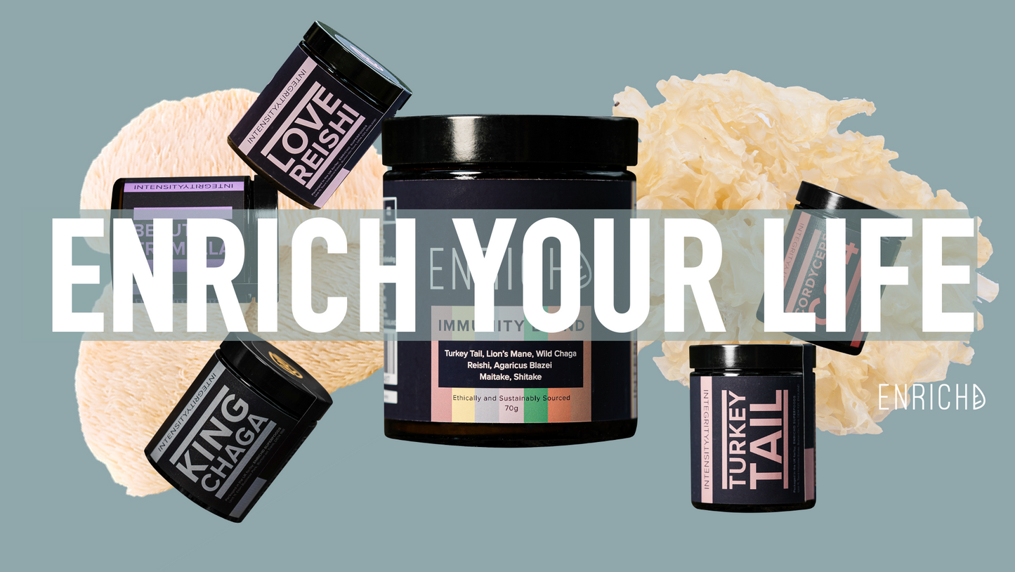 5 Ways to Incorporate Medicinal Mushrooms into Your New Year’s Resolutions