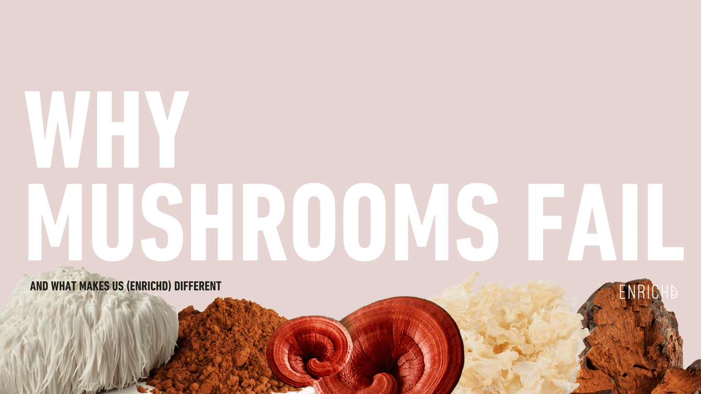 Why Most Other Mushroom Supplements Fall Short – And What Makes ENRICHD Different