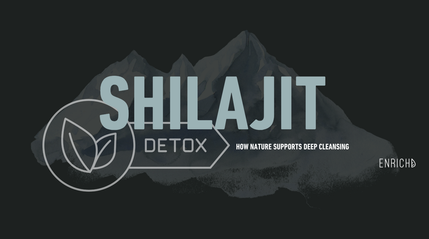 Shilajit & Detox: How Nature Supports Deep Cellular Cleansing