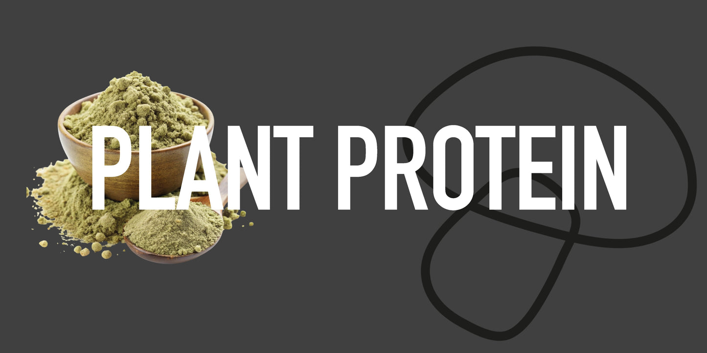 vegan protein powder
