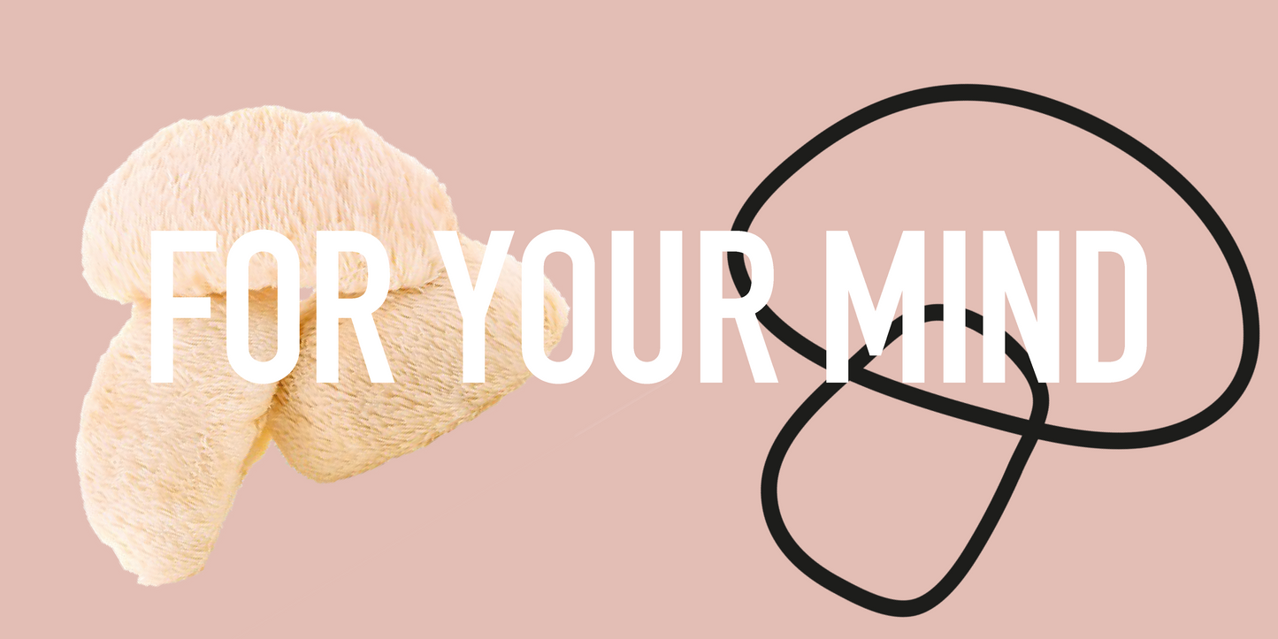 Mushroom powders to support focus, clarity and memory