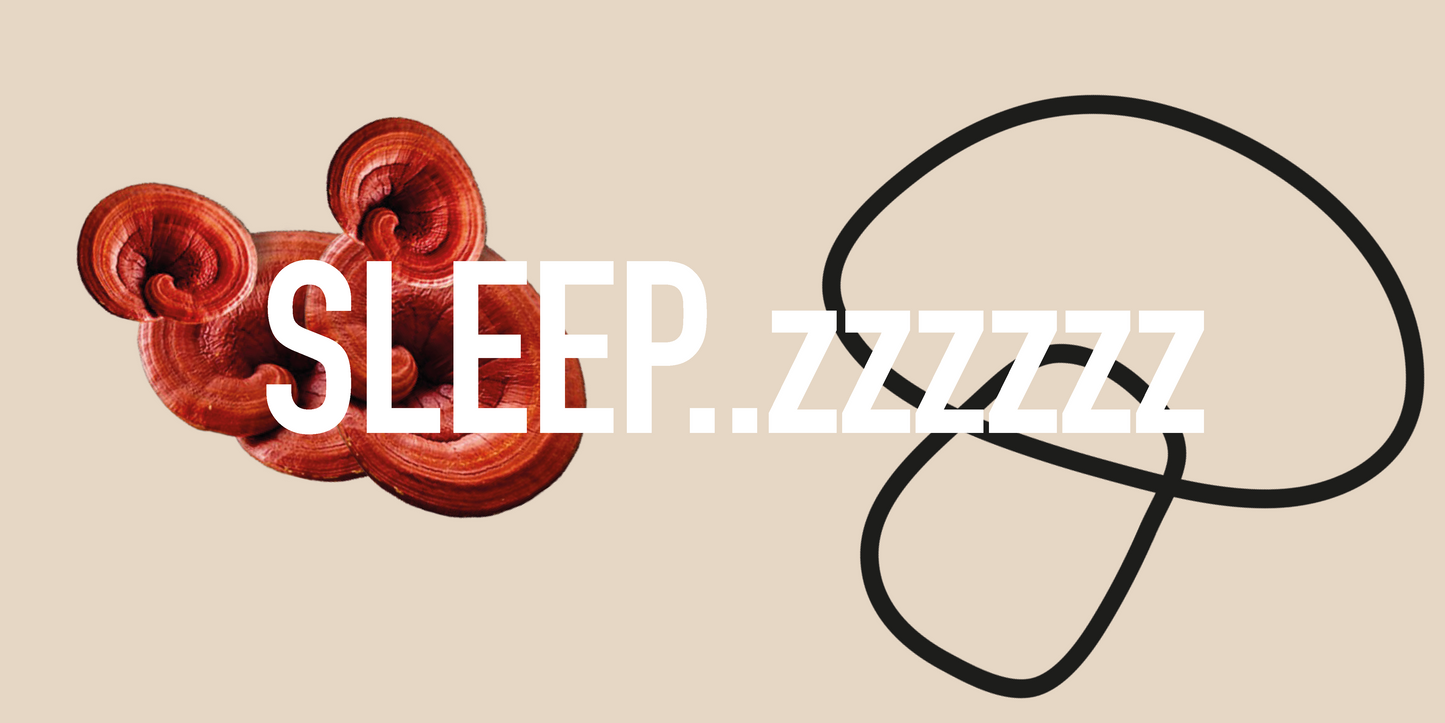 mushroom powders for sleep