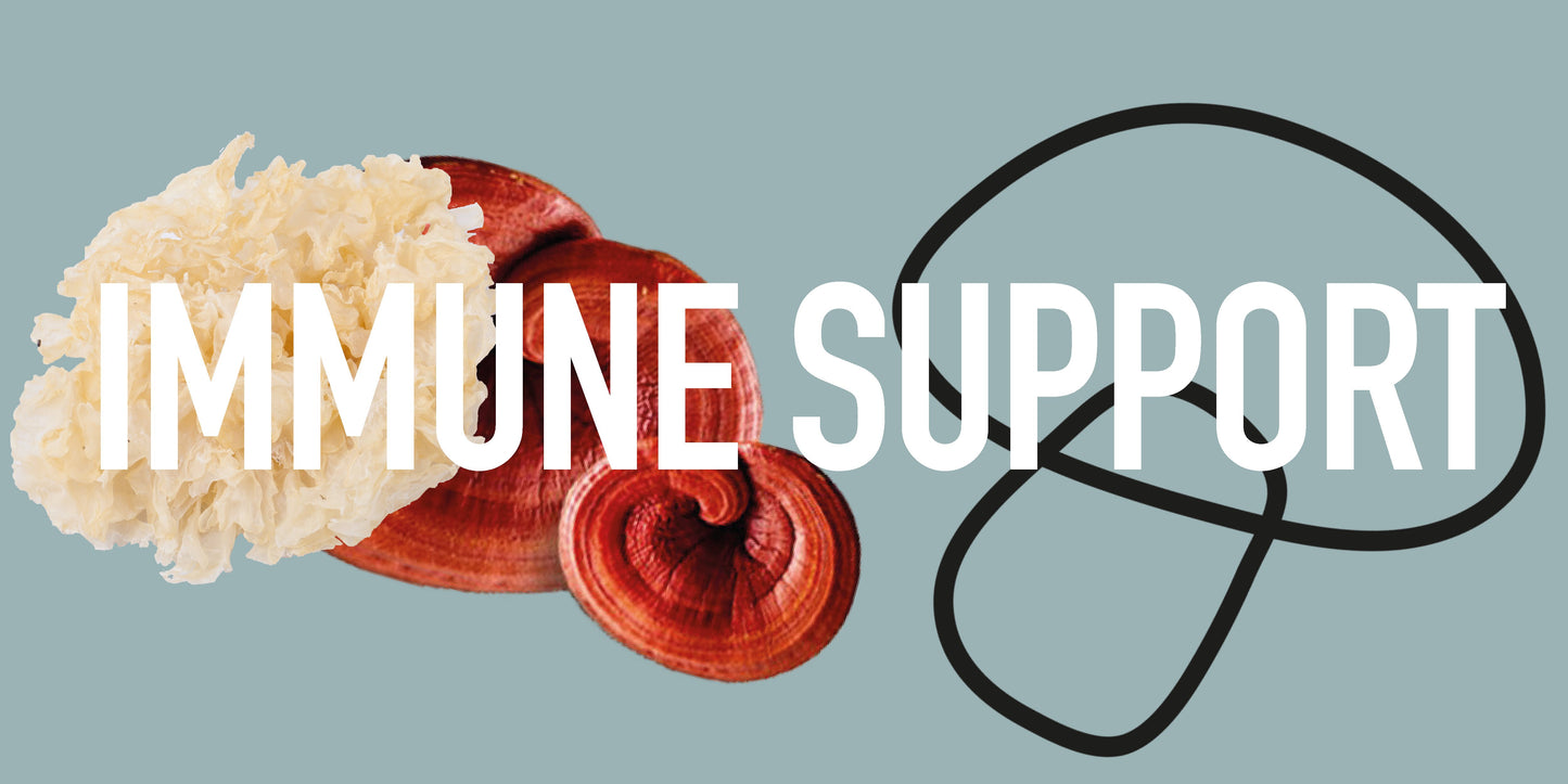 mushroom powders for immune support