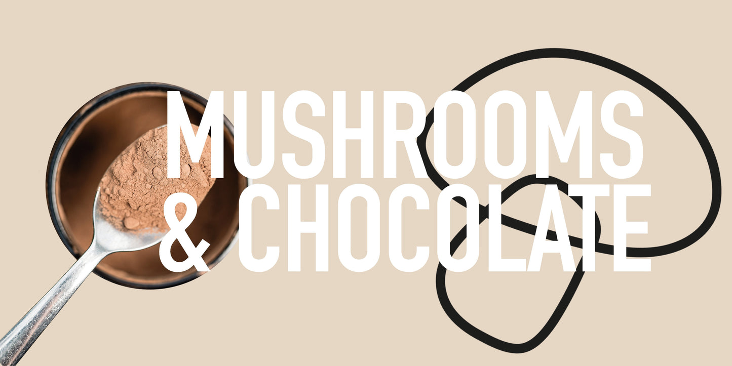 Mushroom powders and Mushroom chocolate
