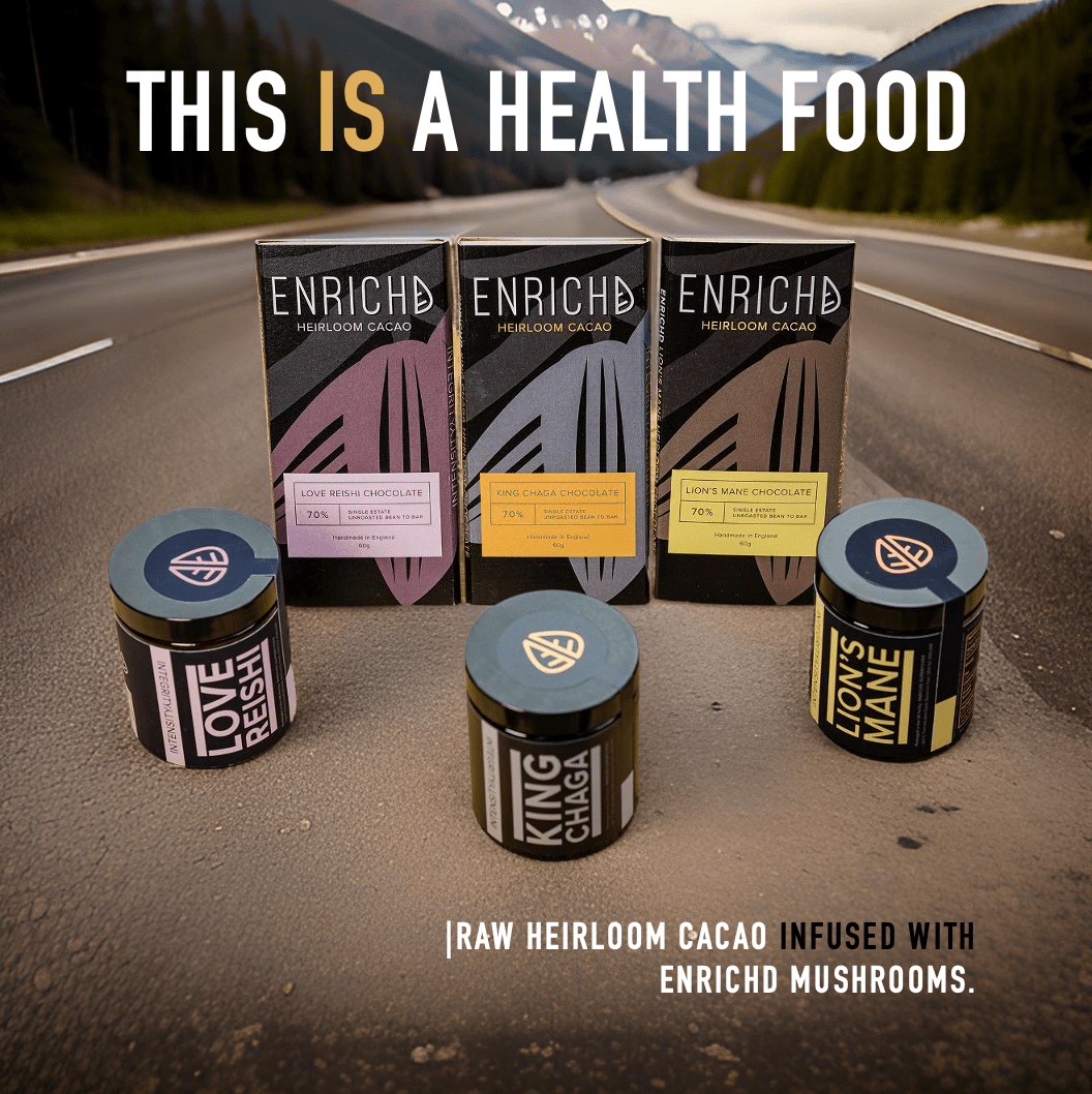 Medicinal Mushrooms Heirloom Raw Chocolate Bars with Lions Mane, Chaga or Reishi Mushroom - 60g Heirloom Raw Chocolate Bars with Lions Mane, Chaga or Reishi Mushrooms
