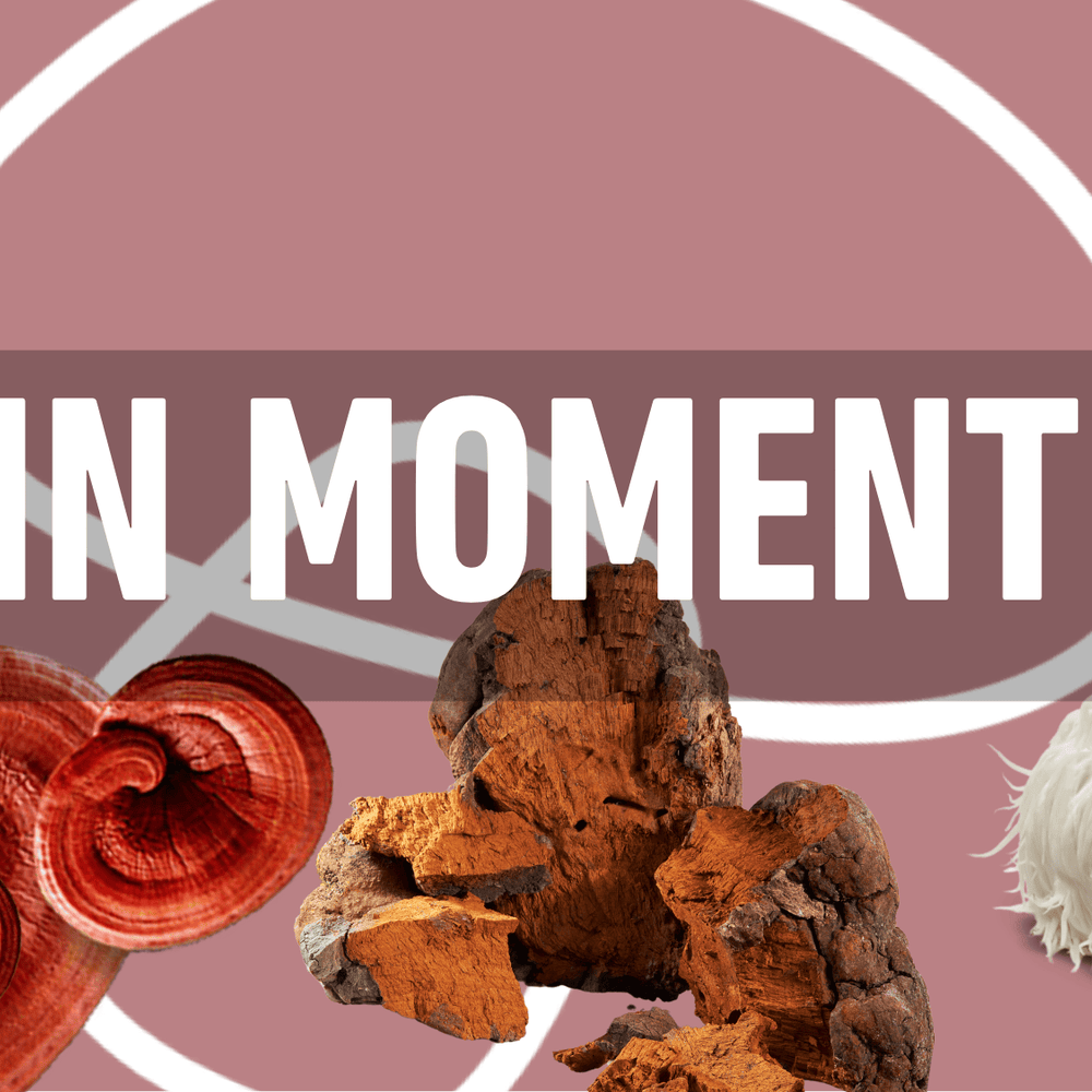 IMPORTANT: Gaining Momentum and Mushroom Extracts in Traditional Chinese Medicine