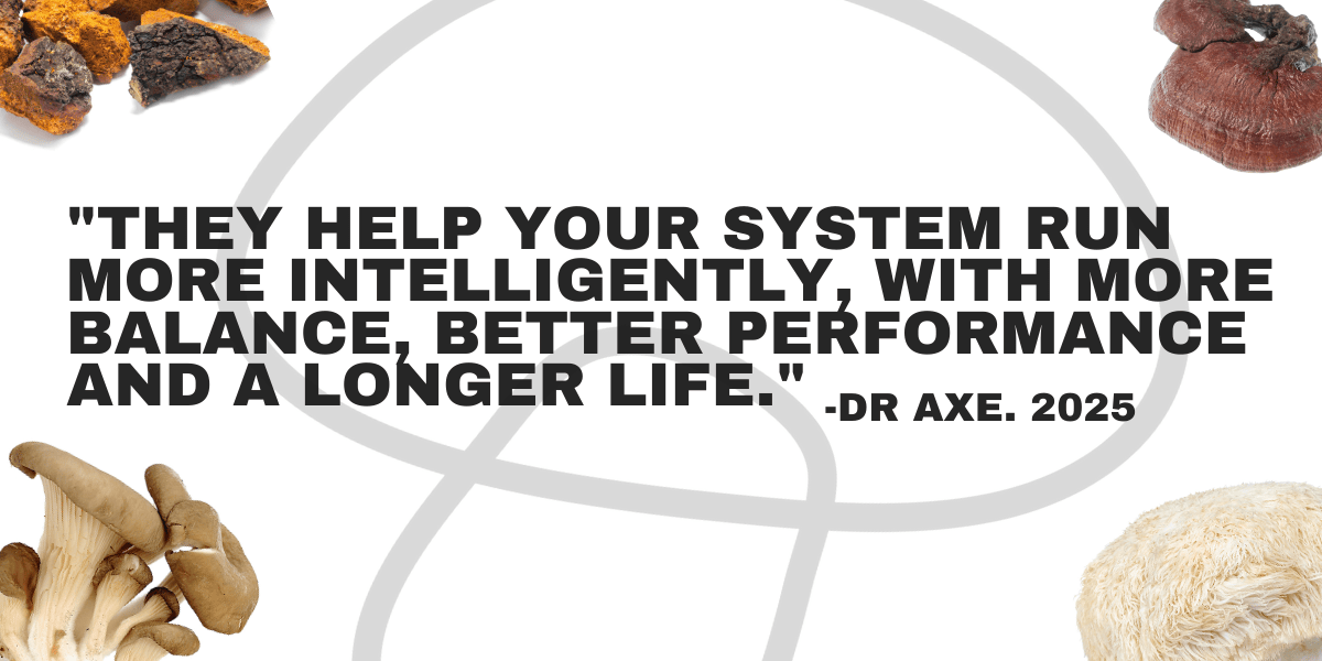 7 Mushrooms You Should Be Taking Daily: Our Hearts Are Bursting Over Dr. Axe’s New Video &nbsp;