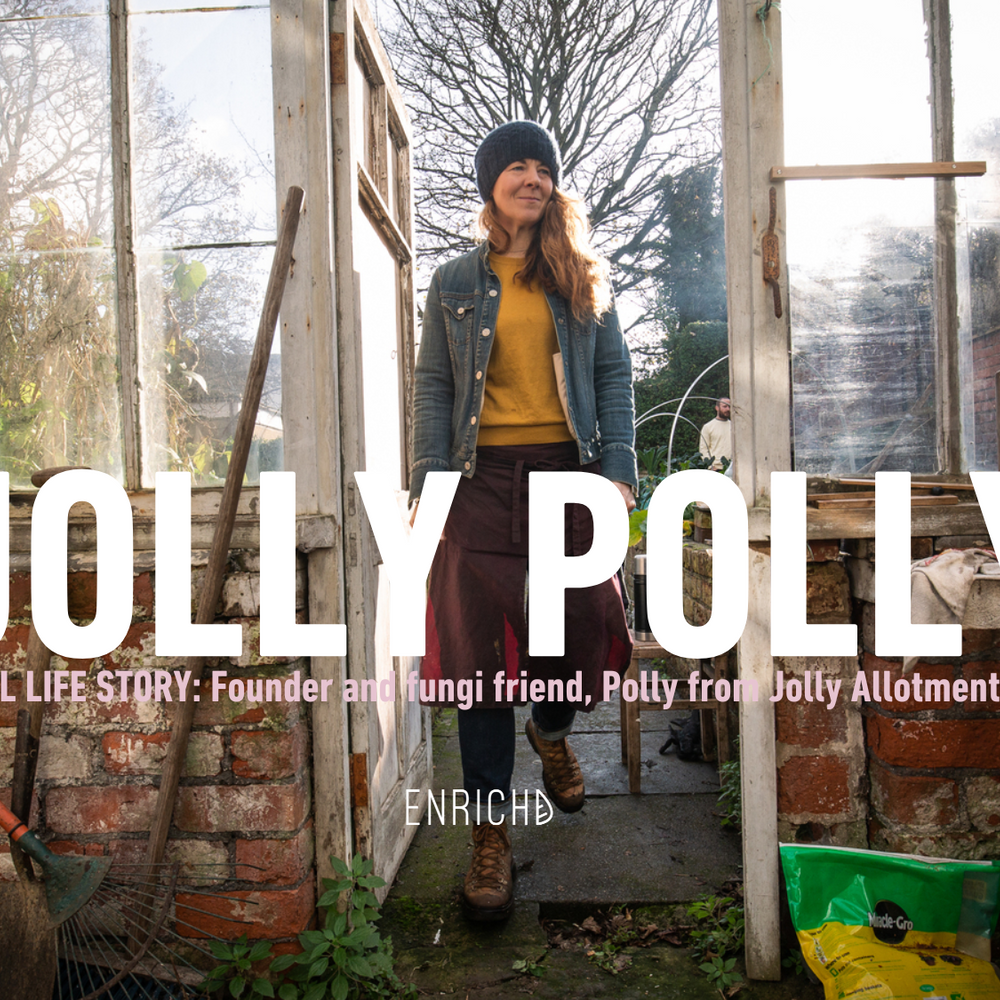 Polly Jolly Allotment Blog post