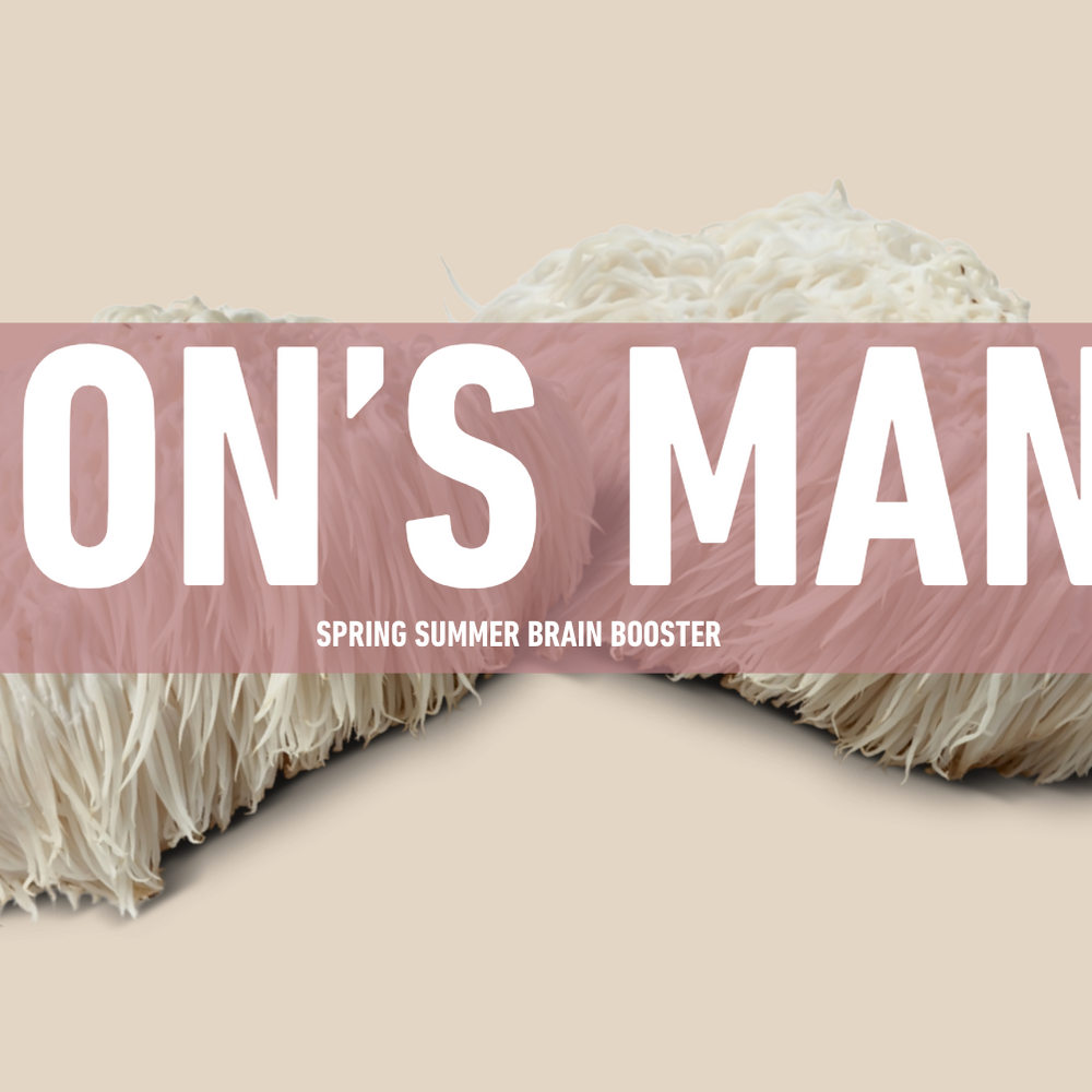 🧠 Lion’s Mane Mushroom Extract (10:1): The Spring & Summer Brain Boost You Need