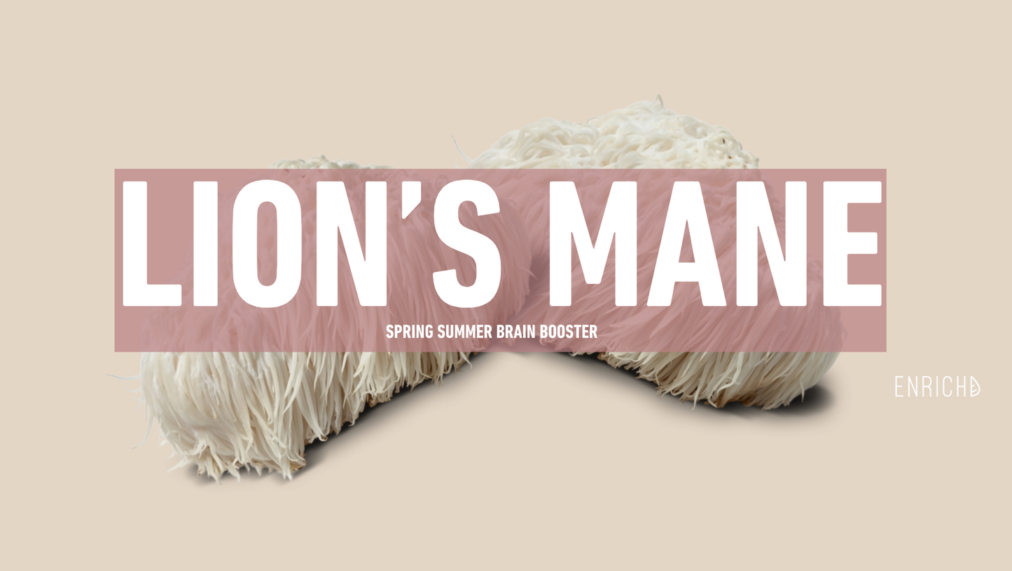 🧠 Lion’s Mane Mushroom Extract (10:1): The Spring & Summer Brain Boost You Need