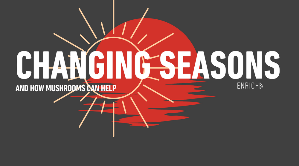 Changing seasons with your Fungi Friends