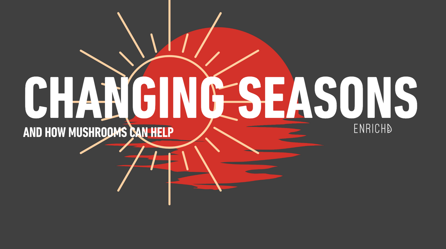 Changing seasons with your Fungi Friends