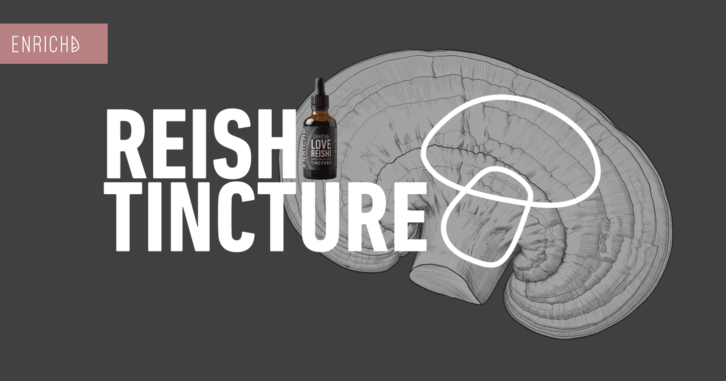 Reishi Tincture: Calm, Rest, and Why Absorption Matters