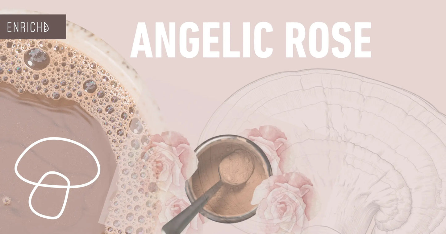 Angelic Rose: Female Health, Hormone Balance and the World's Best Hot Chocolate