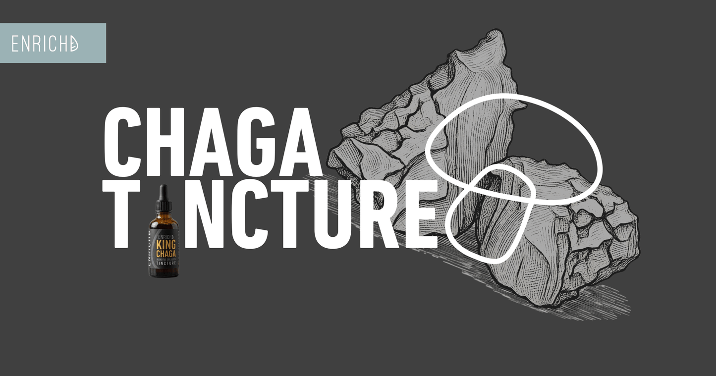 Chaga Tincture: Immune Support and Why Absorption Matters