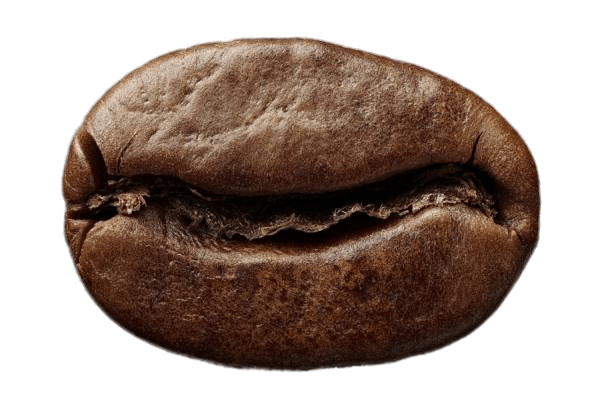 Organic Coffee vs Non Organic Coffee in Colombian Coffee Tasting Experience