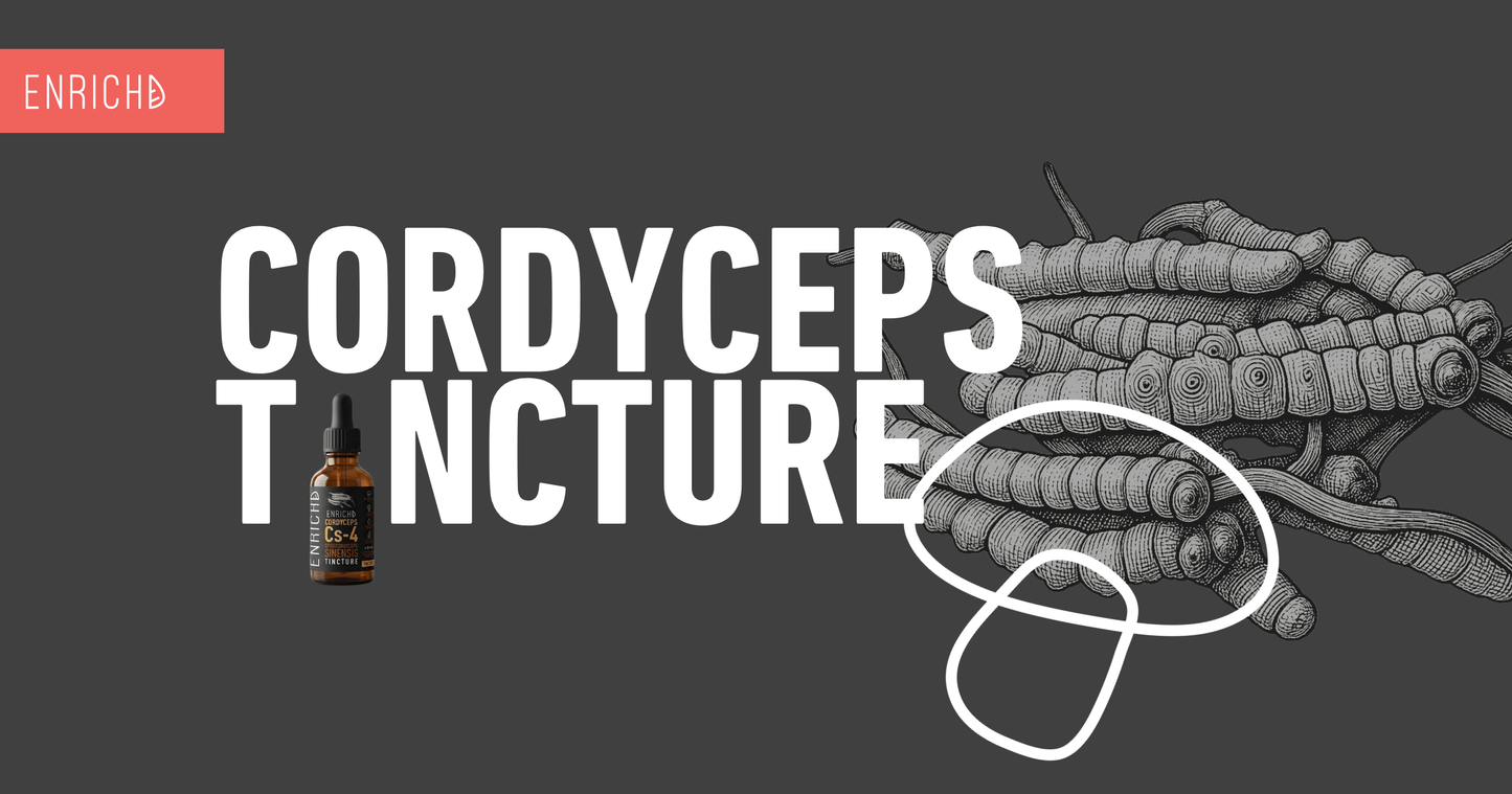 Cordyceps Tincture: Natural Energy and Why Absorption Matters