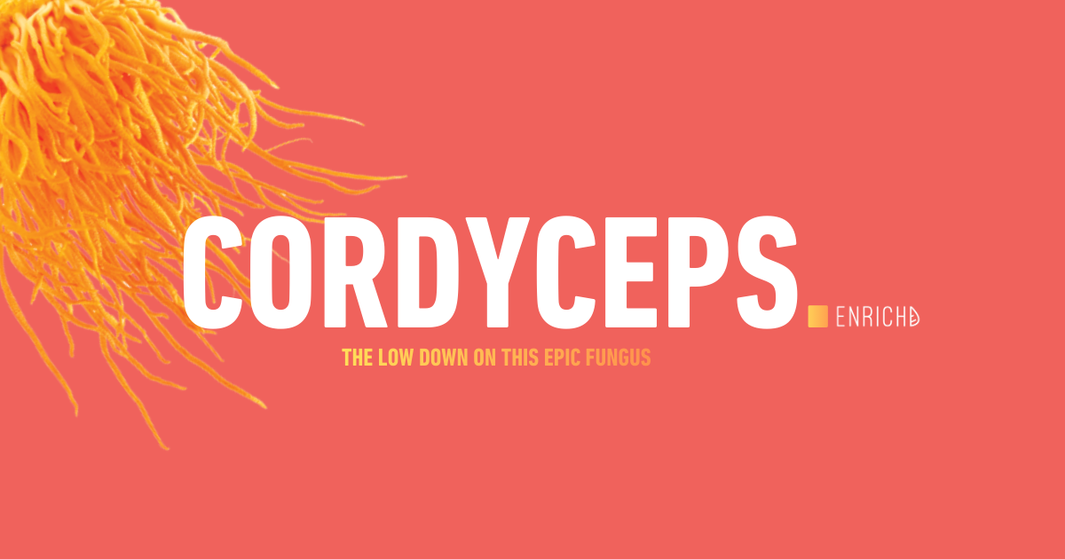 cordyceps-mushroom-benefits-enrichd