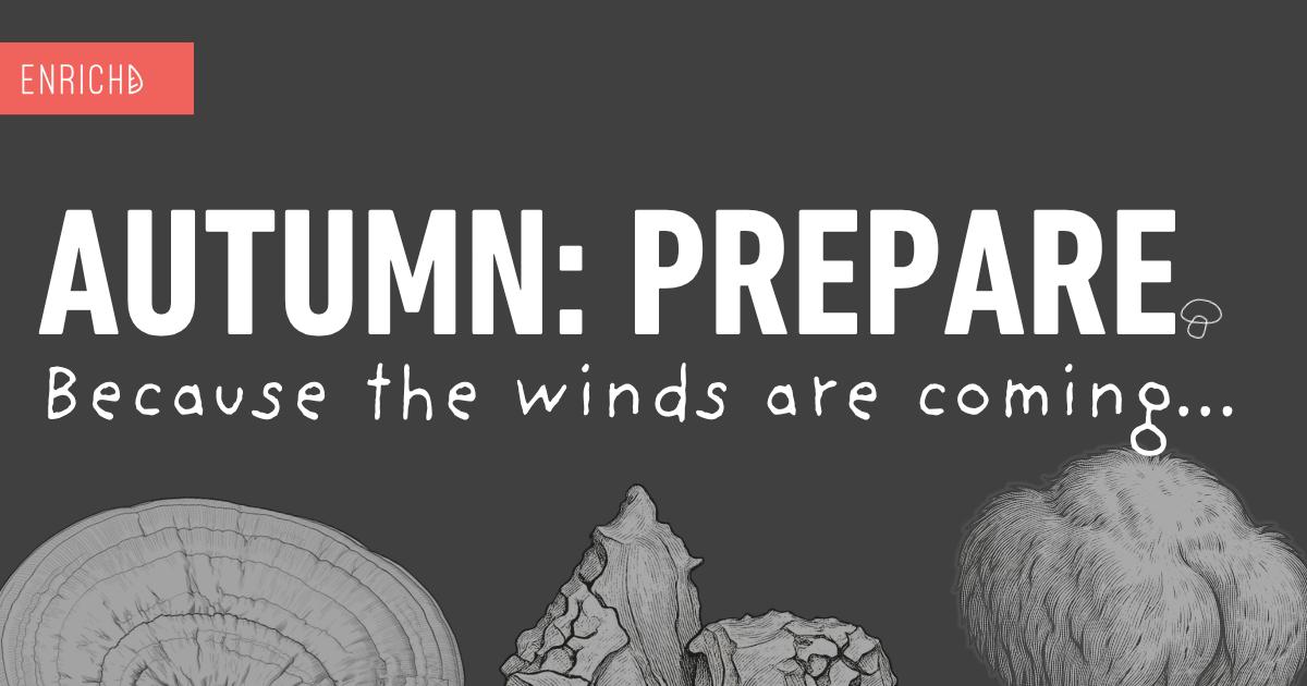 Autumn immune support mushroom ritual -- Chaga, Reishi, Lion's Mane, Tremella and the Seven Mix | ENRICHD