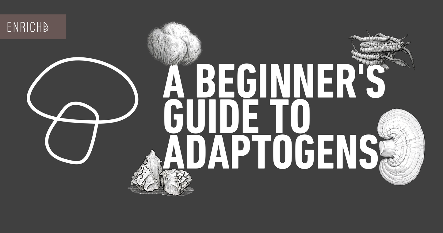A Beginner's Guide to Adaptogens (and Where Mushrooms Fit In)