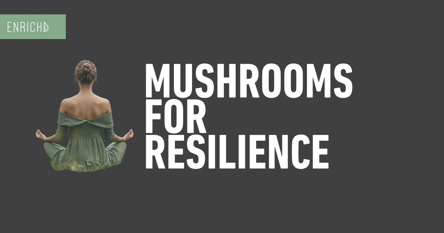 Best Medicinal Mushrooms for Calm and Resilience: Top Functional Fungi for Stress & Anxiety