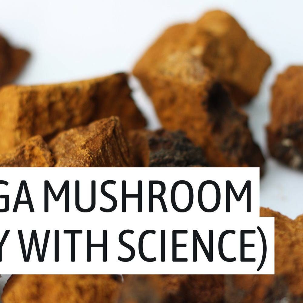 chaga, medicinal mushrooms, mushroom supplements, mushroom benefits