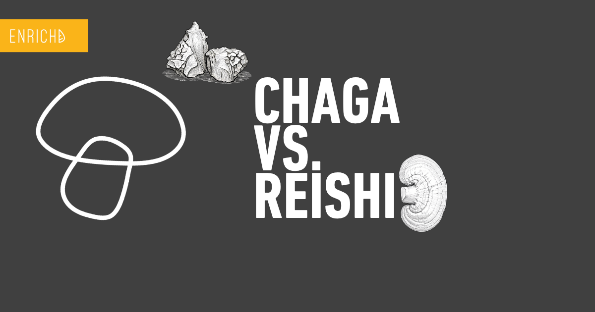 ENRICHD Chaga and Reishi mushroom tinctures, the King and Queen of medicinal mushrooms