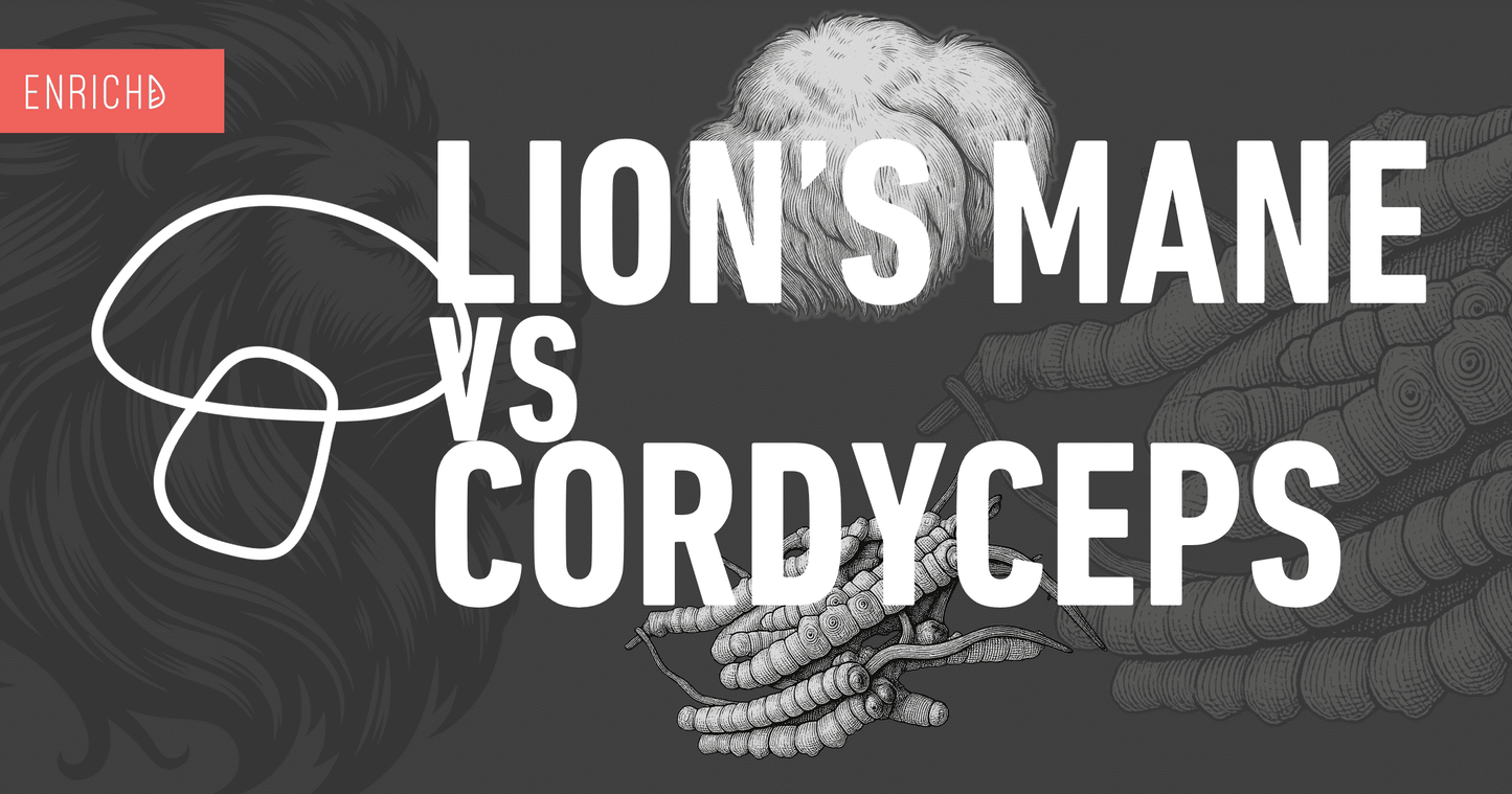 Lion's Mane vs Cordyceps: Which Should You Try First?