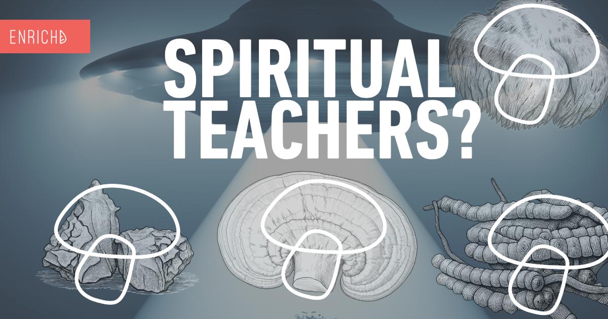Fungus: The Greatest Spiritual Teacher? What Teal Swan Gets Right