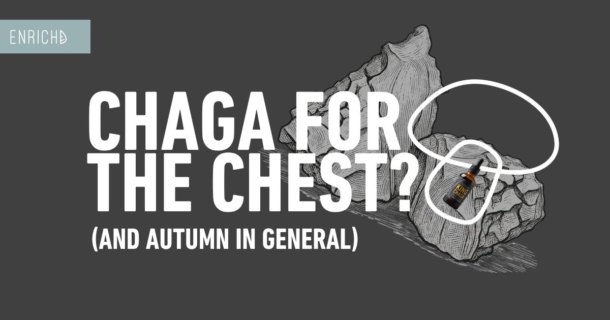 Chaga and Chest Infections: Why It's Been Rich's Go-To Every Autumn