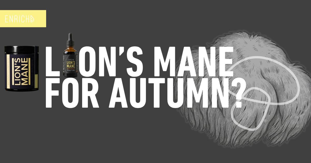 Lion's Mane for Autumn: Staying Sharp as the Mornings Get Darker