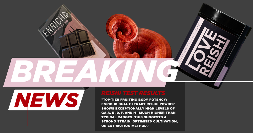 Enrichd Reishi mushroom supplement independently tested for high potency and top-tier ganoderic acid levels, verified in the UK market