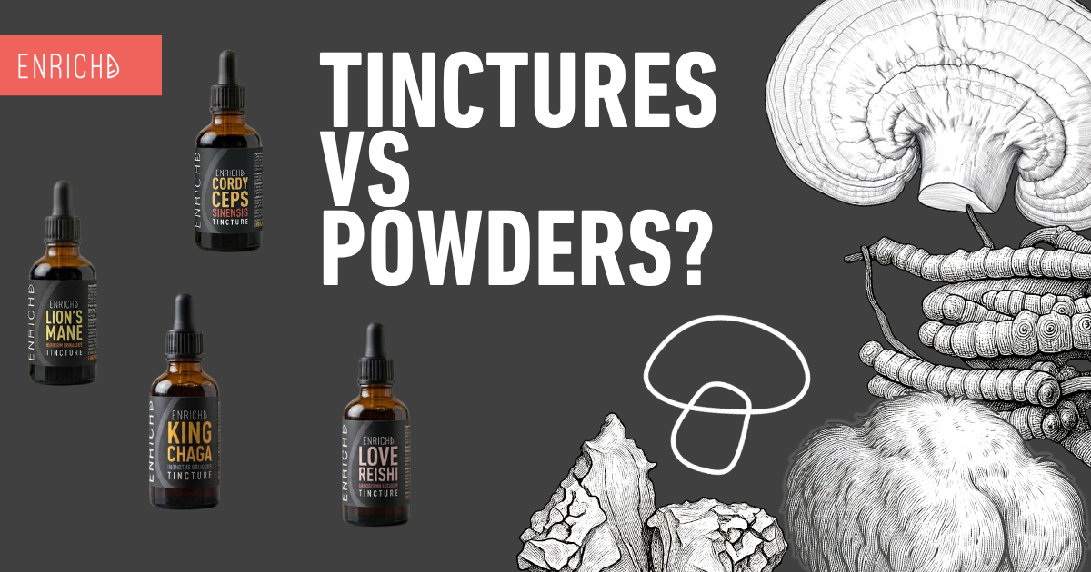 ENRICHD mushroom tinctures and powders compared, which absorbs better
