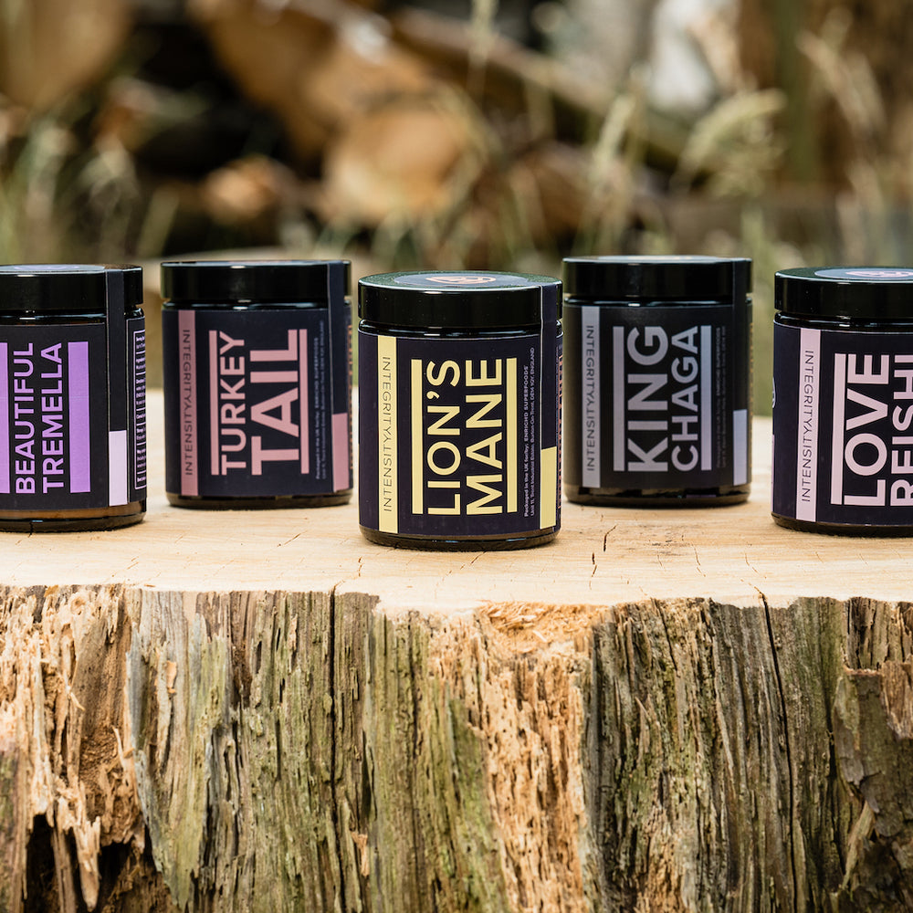 medicinal mushrooms, mushroom powder, mushroom coffee, dual extract