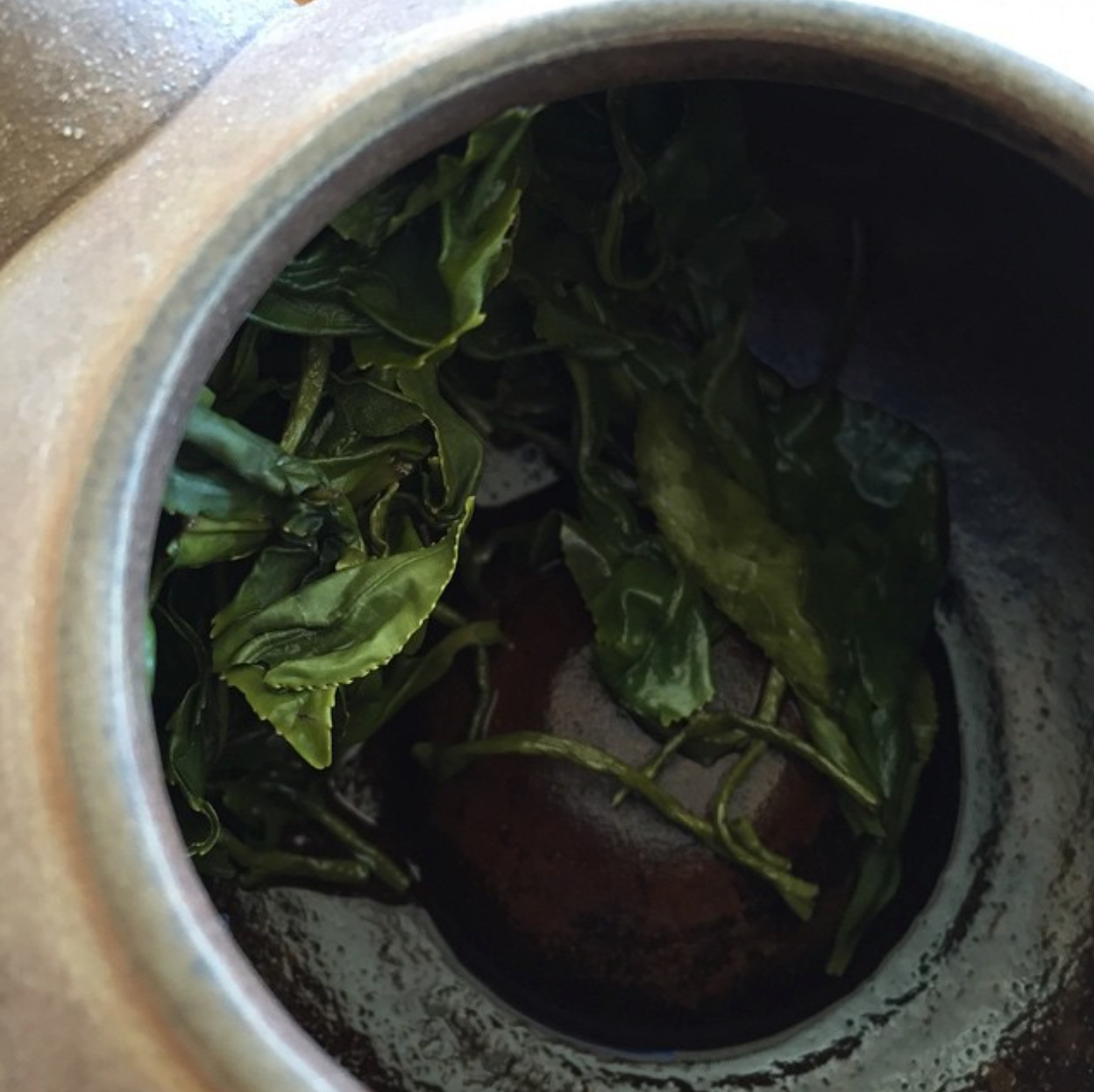 ENRICHD TEA Experience: Lions Mane and Green Tea