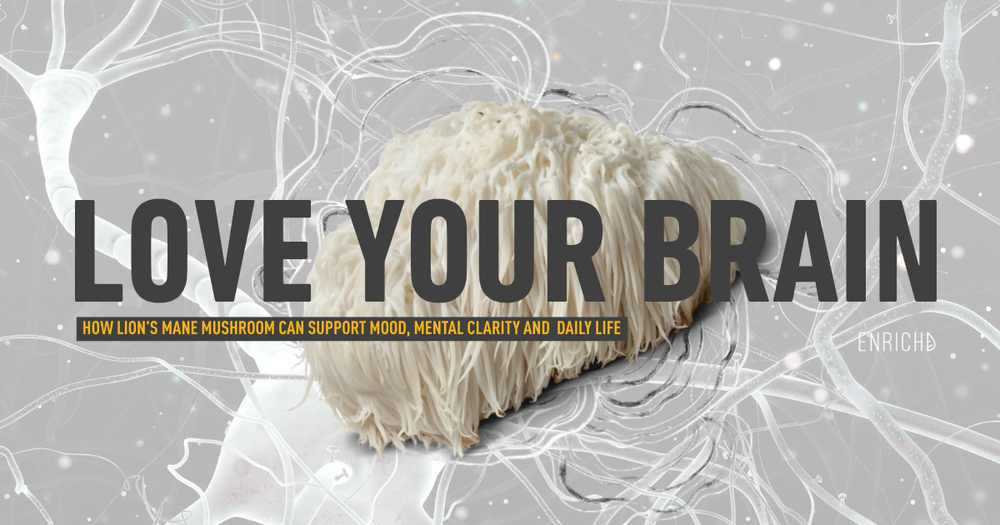 lion’s mane mushroom, lion’s mane benefits, lion’s mane brain health, lion’s mane for stress, lion’s mane uk, hericium erinaceus, natural brain supplement, improve focus naturally, reduce anxiety naturally, nootropic mushroom