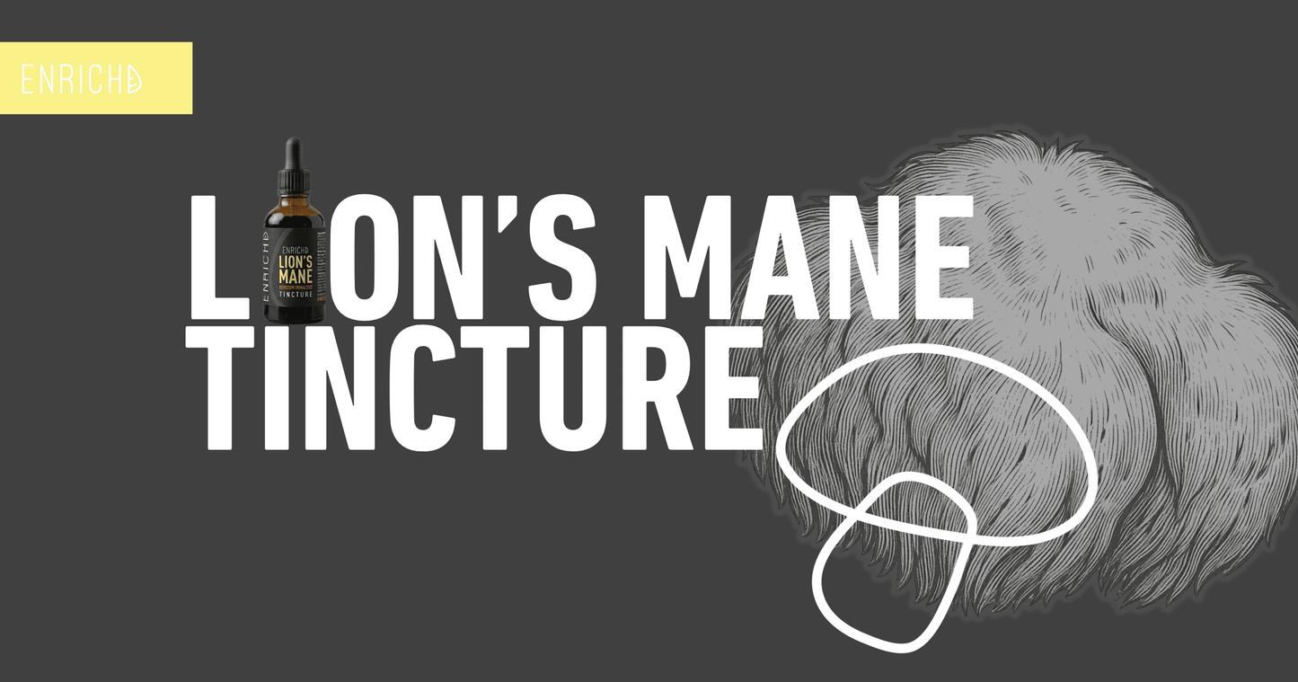 Lion's Mane Tincture: Focus, Memory, and Faster Absorption