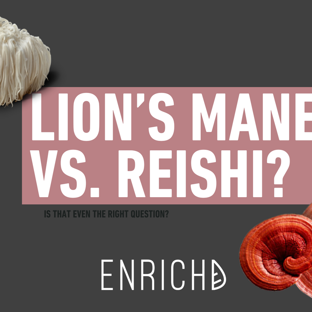 🧠 Lion’s Mane vs. Reishi: Which ENRICHD Mushroom Extract Is Right for You?