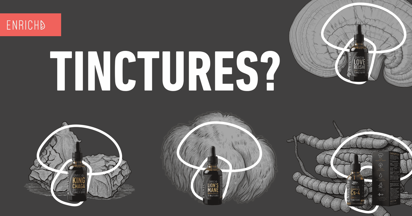 Meet the ENRICHD Tinctures: Chaga, Reishi, Lion's Mane and Cordyceps