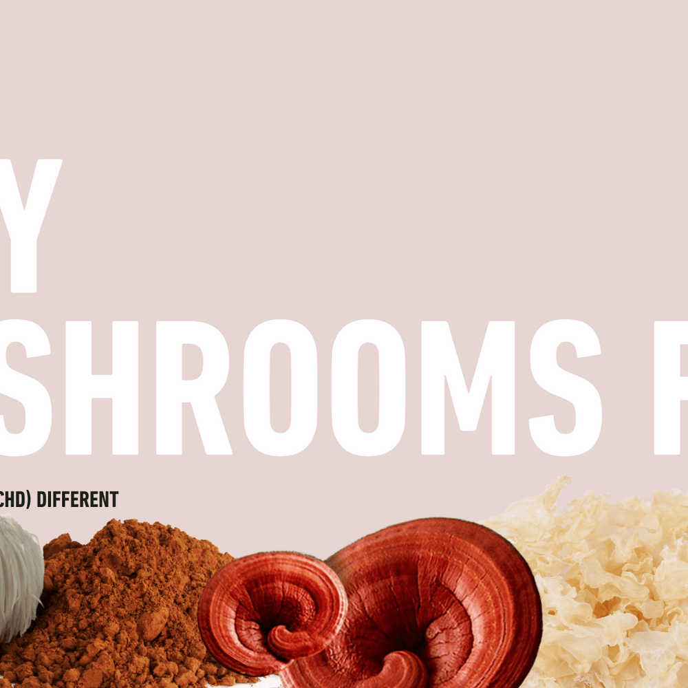 mushroom benefits, quality supplements, wellness, medicinal mushrooms, enrichd mushrooms 
