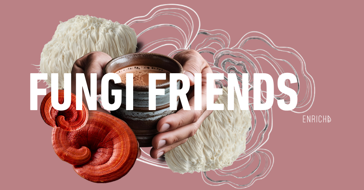 medicinal mushrooms, human connection, mushroom tea, mindfulness, wellbeing, lion’s mane, reishi