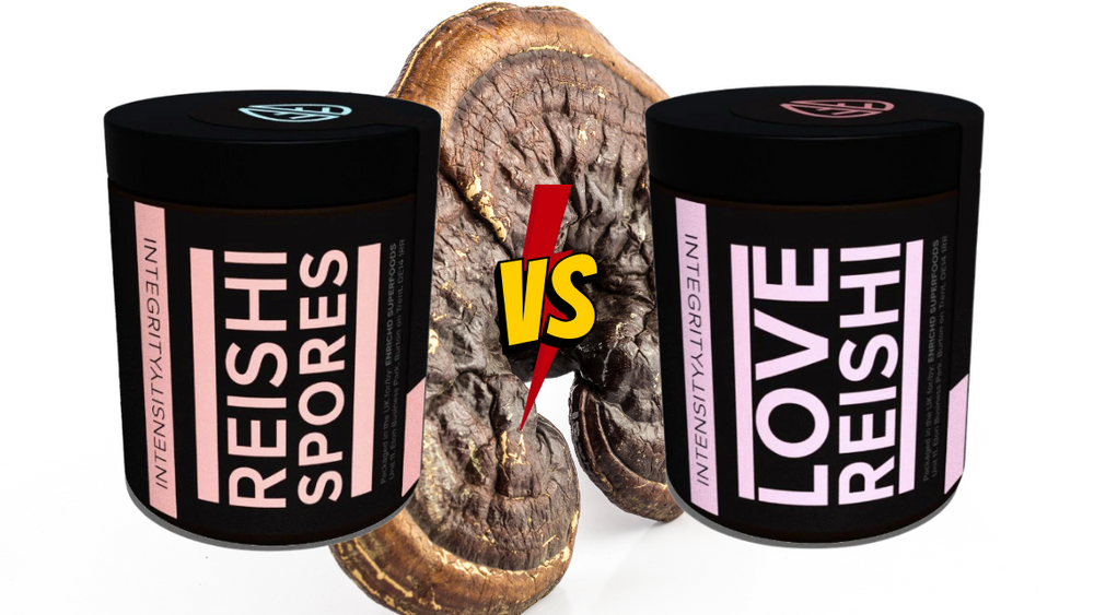 Reishi Spores vs. Love Reishi (fruiting body)